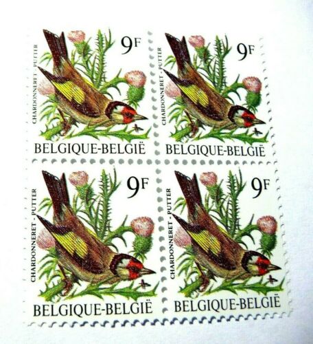 2190 - Vogels/Oiseau - Blok van 4/Bloc de 4 postfris ** (K21-020)